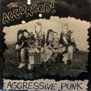 Aggressive punk